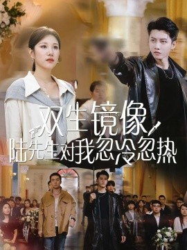 双生镜像陆先生对我忽冷忽热